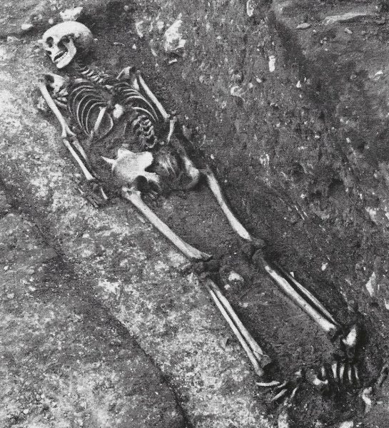 Skeleton of an adult female (Roman)